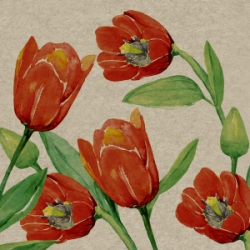Servilleta Decoupage Tulipanes Paq x 25 u