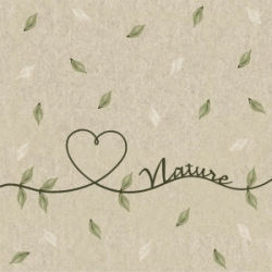 Servilleta Decoupage Nature Kraft Paq x 25 u